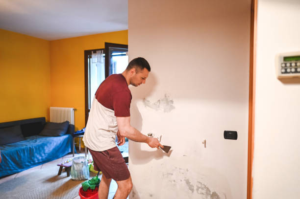 Best Black Mold Removal  in Seabrook, TX